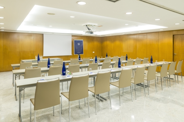 Hotel NH Malaga